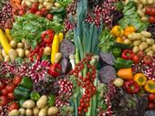 undercontract fruit veg+ more