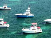 punta cana's premier charter