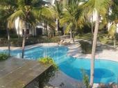 punta cana's premier charter
