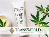 cbd wellness boutique