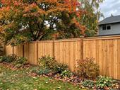 fence franchise with three