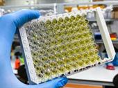 norcal clinical laboratory with