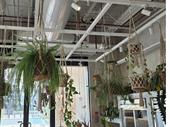high-end restaurant for sale