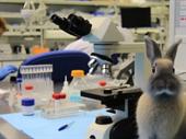 in-network full-service clinical laboratory