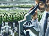 active iso-certified cannabis testing