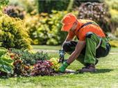 landscape company long established