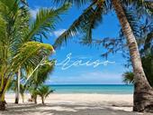 established beach resort masbate