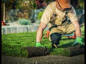 established tucson-area landscape maintenance