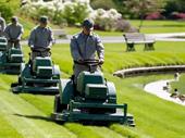 established commercial lawn snow