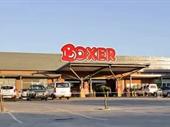boxer investment opportunity gauteng