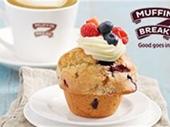 urgent sale top muffin