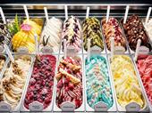ice cream dessert business