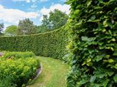 bayside territory mobile hedge