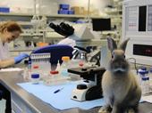 full-service clinical laboratory northern