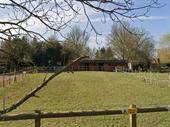 land paddocks stables ashford
