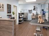 turnkey pet grooming shop