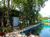 established freehold resort hotel