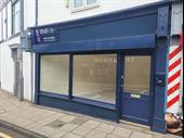 commercial property low fell