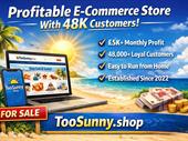 100 dropshipping online home