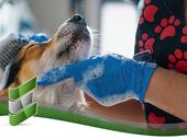 high-demand multi-territory mobile pet