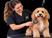 turnkey mobile pet grooming