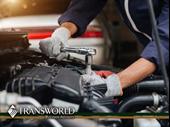 established mobile auto specialty