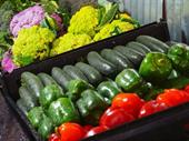9 8m ethnic wholesale