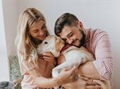 online pet product wholesaler
