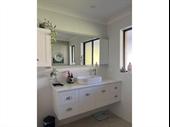 established cleaning business lake