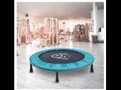 fitness trampolines business for