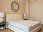 bed mattress specialist business