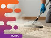 37180 profitable cleaning business