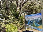 arthur s pass alpine