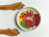 fresh pet food retail