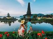 travel search engine website