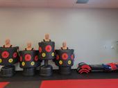 well-established martial arts school