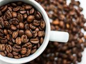 simple established cafe near