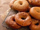 established bagel deli staten