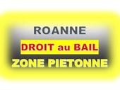 commercial premises roanne