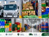 wholesale retail foodstuff trading