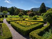 established garden design landscaping