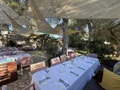 beloved successful traditional taverna
