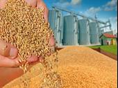 turnkey feed store with