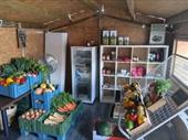 fruit vegetable business neuss