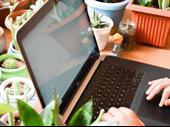 online plant nursery delivery
