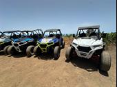 established buggy tour business