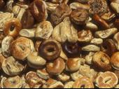 established bagel shop on