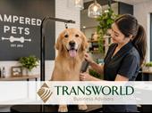 established pet grooming business