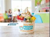 frozen yogurt brand 2