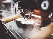 licensed coffee shop opportunity